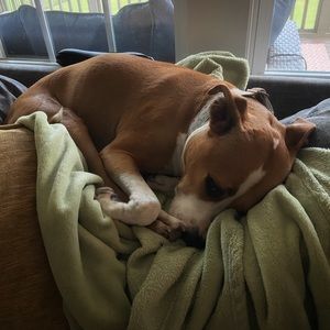 Meet your Posher, Alicia